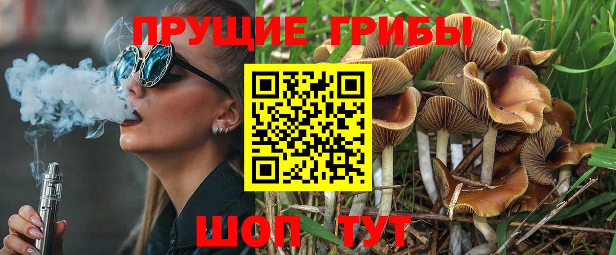 Отрадное  Галлюциногенные грибы Magic Shrooms  Вход с VPN  Псилоцибиновые грибы MAGIC MUSHROOMS 