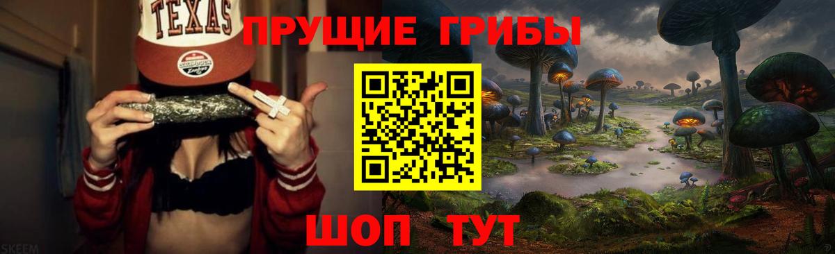 Галлюциногенные грибы Psilocybe Отрадное